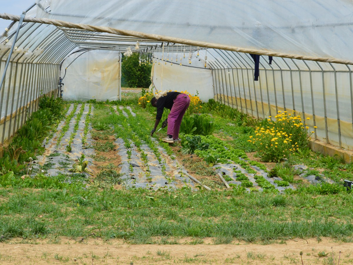 Visita a L’Orto del Pian&nbsp;Bosco