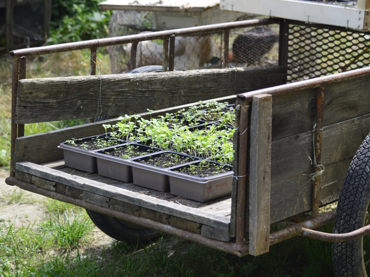 Prepariamoci a visitare La Ca’&nbsp;Rotta