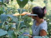 Cooperativa Il Germinale