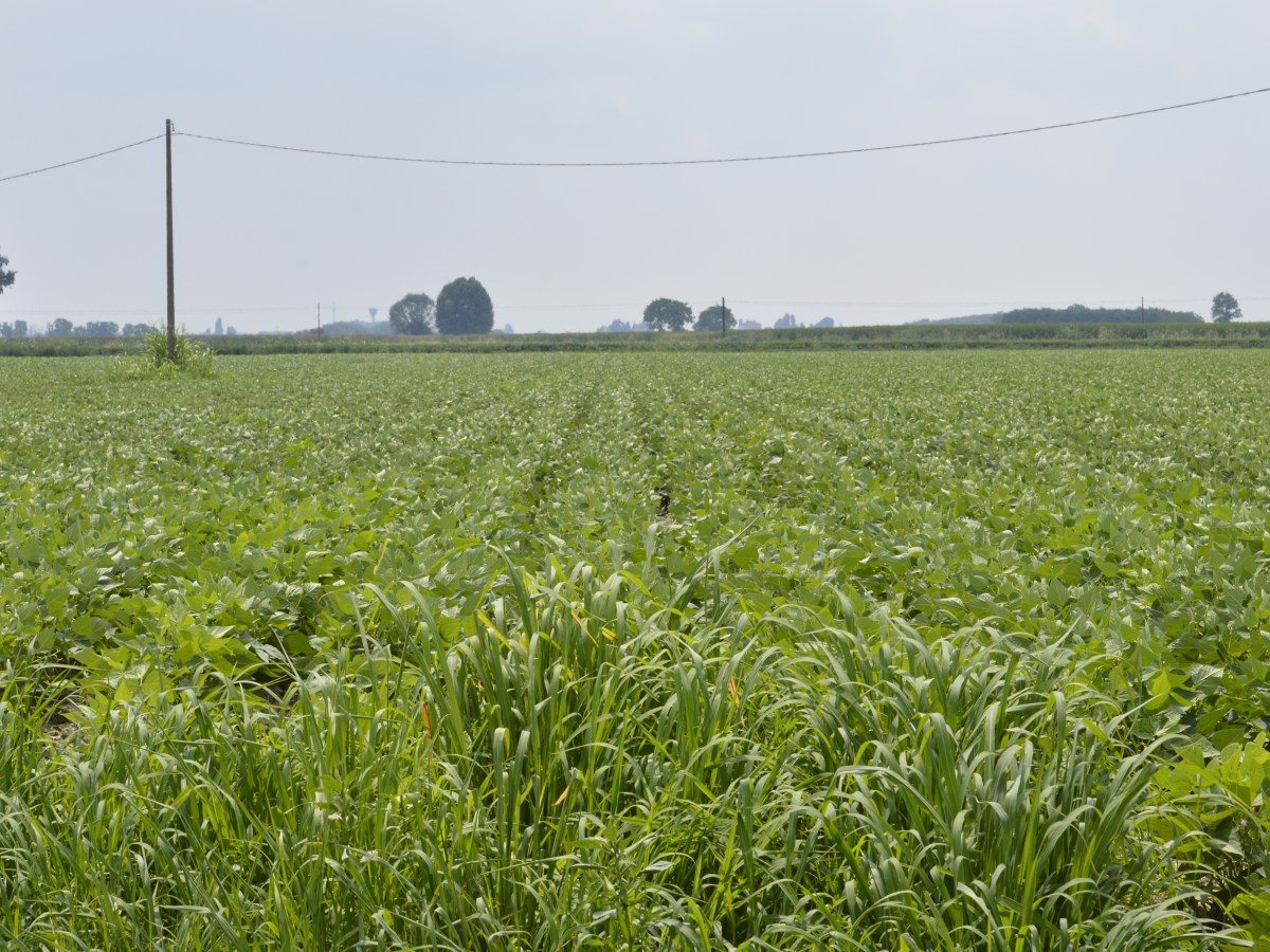 Visita ad Agricoltura&nbsp;bio