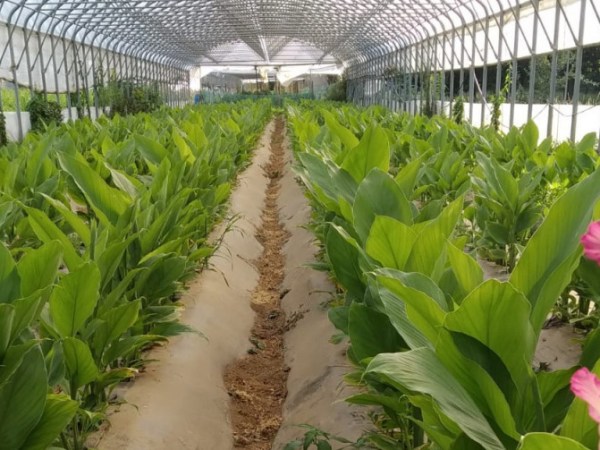 Cascina Speranza di Matteo&nbsp;Chesta