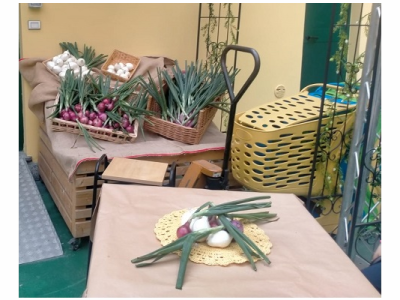 Aperitivi bio: cipolle